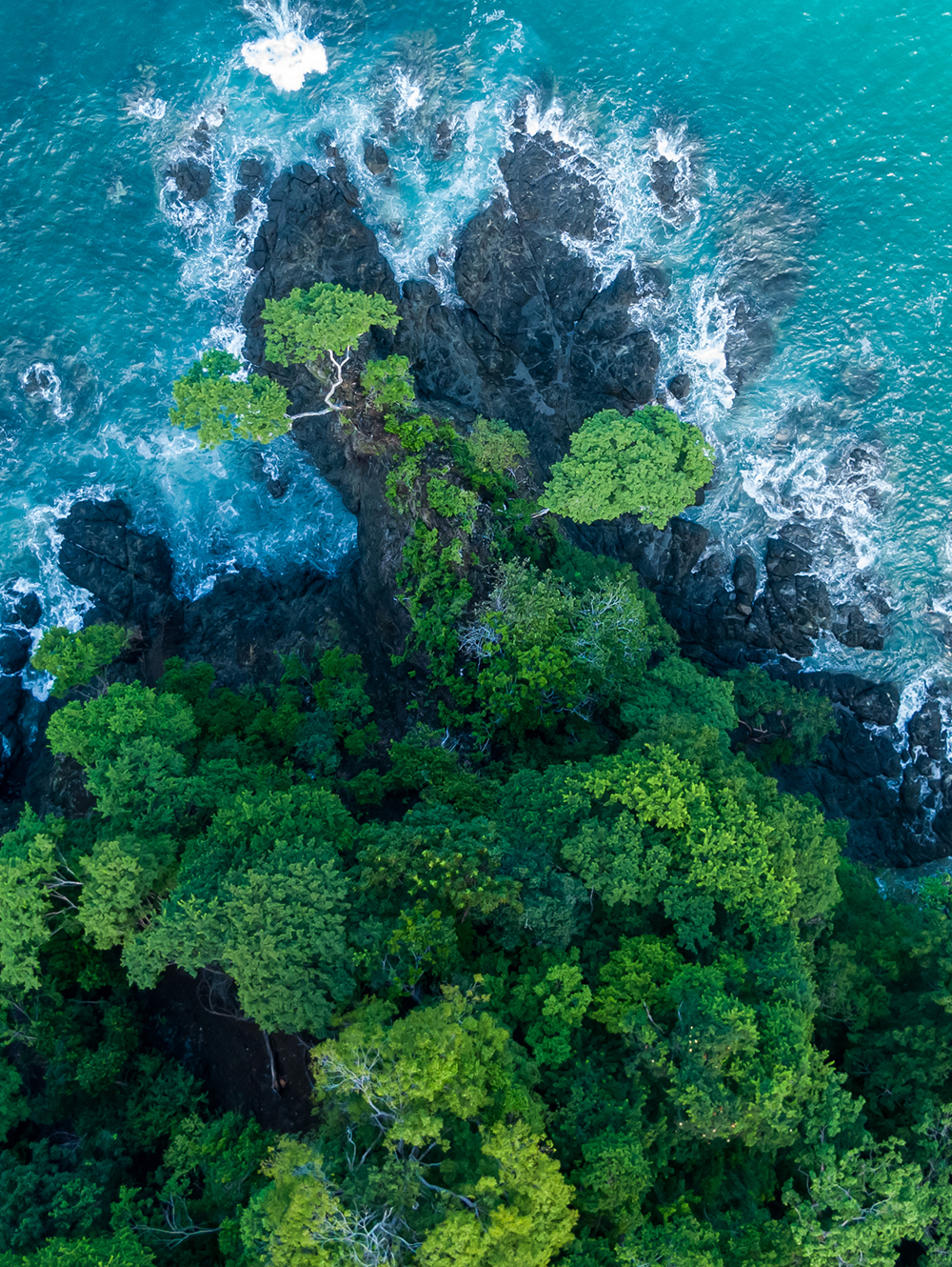  coastline
