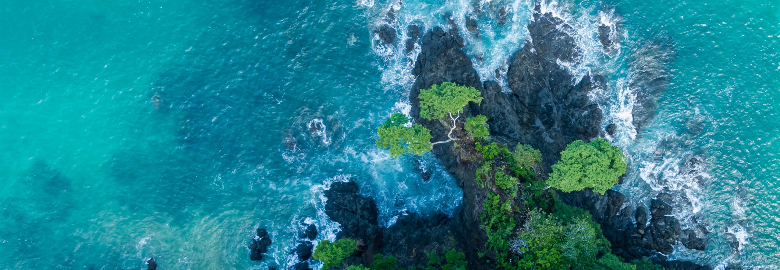 coastline